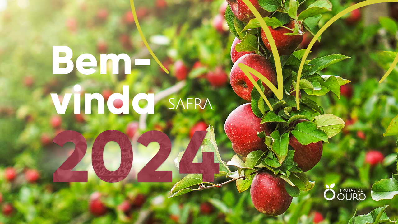 SAFRA 2024