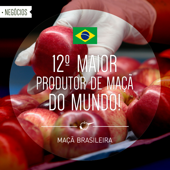 O Brasil é o 12º maior produtor de maçã do mundo