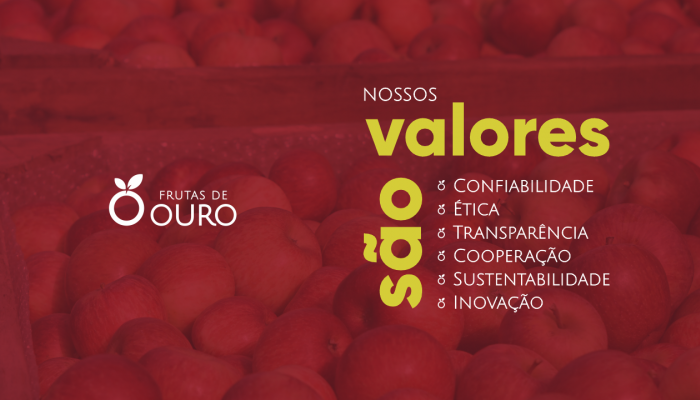 NOSSOS VALORES