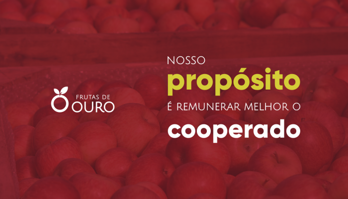 NOSSO PROPÓSITO